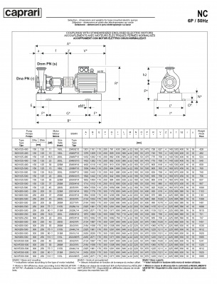 Одноступенчатые горизонтальные центробежные насосы Caprari NCH 200-500 1450 Одноступенчатые горизонтальные центробежные насосы Caprari NCH 200-500 1450