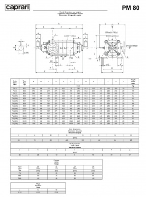 Горизонтальные многоступенчатые насосы высокого давления Caprari PM 80 2200 Горизонтальные многоступенчатые насосы высокого давления Caprari PM 80 2200