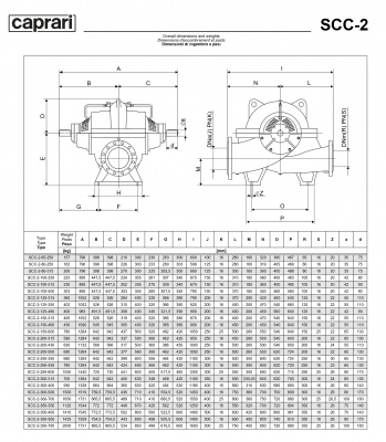 Горизонтальные насосы двустороннего входа Caprari SCC-2-80-250 2900 Горизонтальные насосы двустороннего входа Caprari SCC-2-80-250 2900