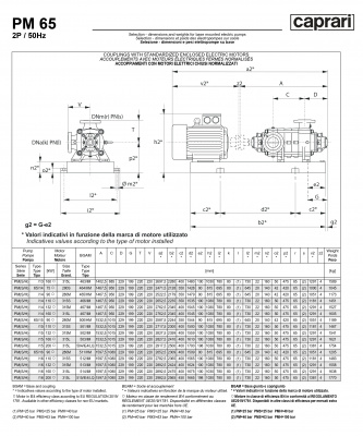 Горизонтальные многоступенчатые насосы высокого давления Caprari PM 65 1450 Горизонтальные многоступенчатые насосы высокого давления Caprari PM 65 1450