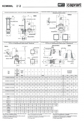 Погружные канализационные элктронасосы Caprari KCM080L Погружные канализационные элктронасосы Caprari KCM080L
