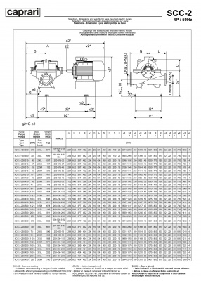 Горизонтальные насосы двустороннего входа Caprari SCC-2-150-600 1450 Горизонтальные насосы двустороннего входа Caprari SCC-2-150-600 1450