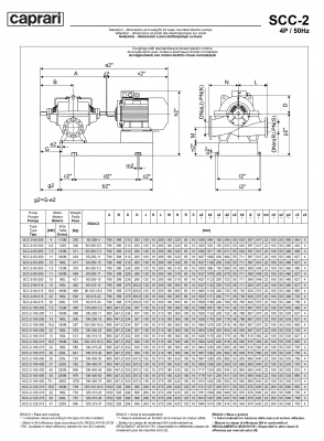 Горизонтальные насосы двустороннего входа Caprari SCC-2-80-315 1450 Горизонтальные насосы двустороннего входа Caprari SCC-2-80-315 1450