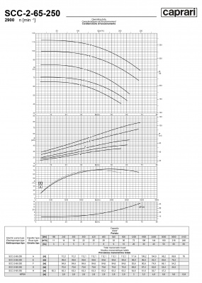 Горизонтальные насосы двустороннего входа Caprari SCC-2-65-250 2900 Горизонтальные насосы двустороннего входа Caprari SCC-2-65-250 2900